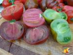 Assortiment de tomates