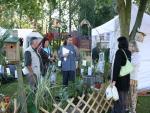 Le stand herbes sauvages 