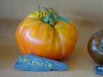 Tomate Valencia