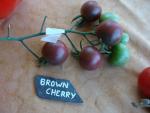 Tomate Brown Cherry 