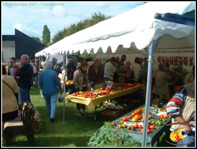 Vue du stand tomodori 
