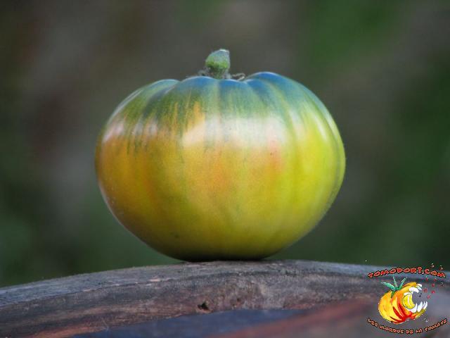 Tomate Aunt Ruby's German Green