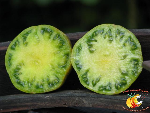 Tomate Aunt Ruby's German Green