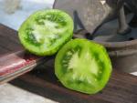 Tomate Green Zebra