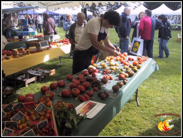 Des photos, des photos de tomates ..... 