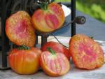 Tomate Striped German