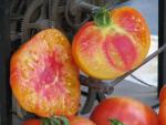 Tomate Striped German