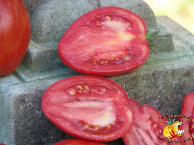 Tomate Striped Roman