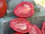 Tomate Striped Roman