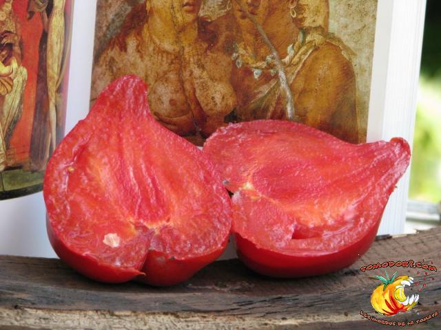 Tomate Téton de Vénus