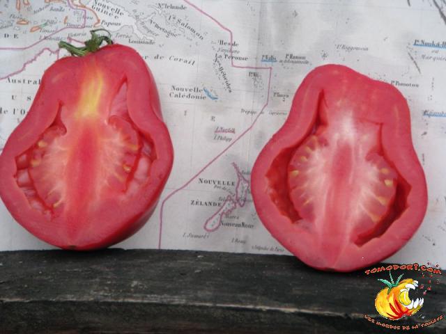 Tomate New Zealand Pear