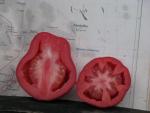 Tomate New Zealand Pear