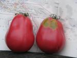 Tomate New Zealand Pear