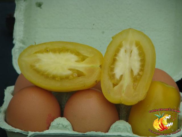 Tomate Ivory Egg