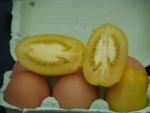 Tomate Ivory Egg