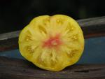 Tomate Ponderosa Golden 