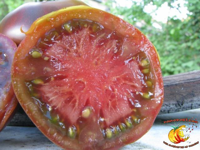 Tomate Noire de Crimée