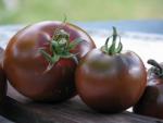 Tomate Noire de Crimée