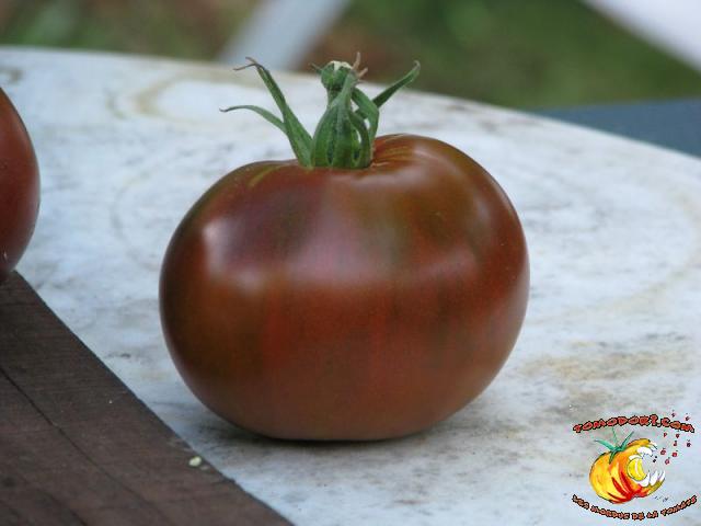 Tomate Noire de Crimée