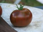 Tomate Noire de Crimée
