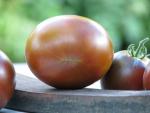 Tomate Noire de Crimée