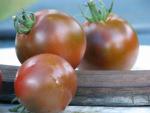 Tomate Noire de Crimée