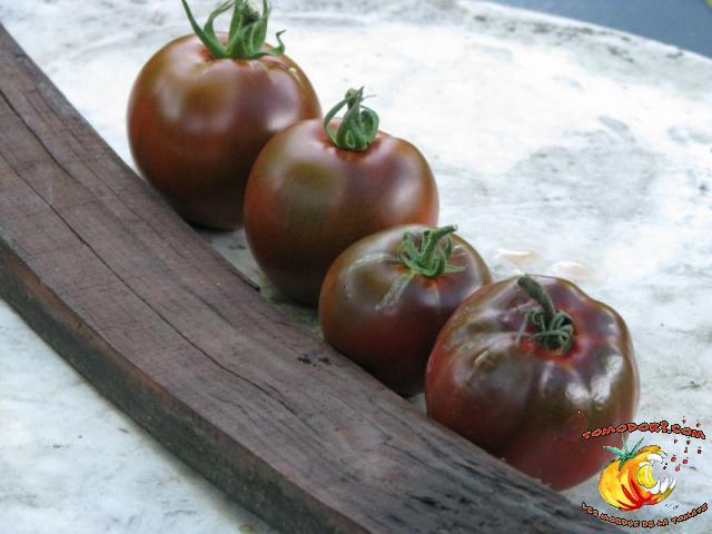 Tomate Noire de Crimée