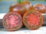 Tomate Noire de Crimée