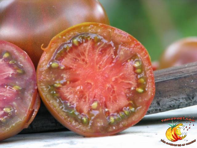 Tomate Noire de Crimée
