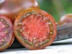 Tomate Noire de Crimée