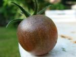 Tomate Black Cherry