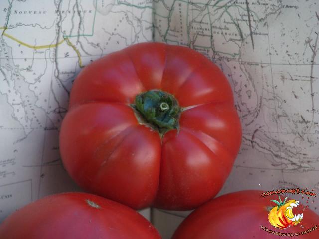 Tomate Aker's West Virginia