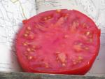 Tomate Aker's West Virginia