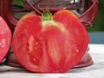 Tomate Australian Oxheart
