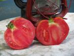 Tomate Australian Oxheart