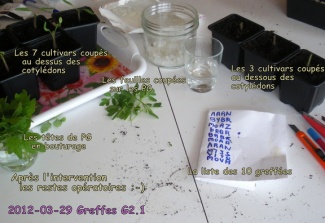 Ce qui reste