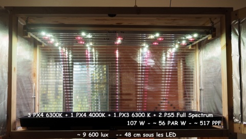 face arrière polycarbonate